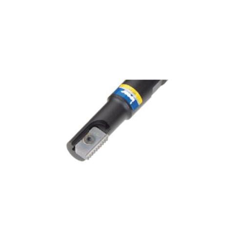 ISCA-3102179