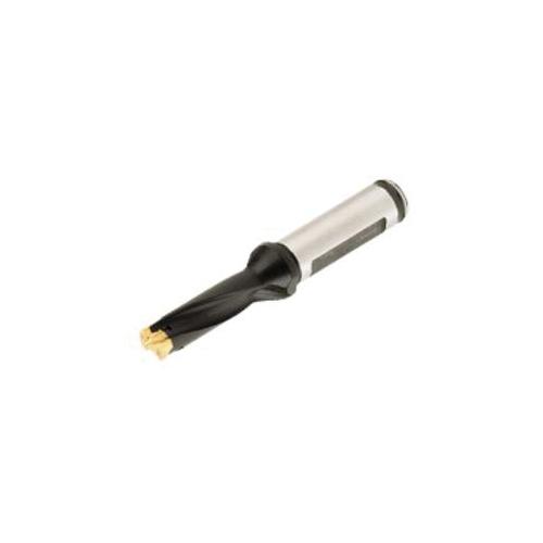 ISCA-3200541