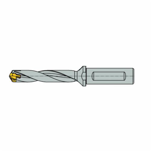 ISCA-3202432