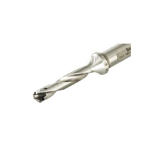 ISCA-3202445