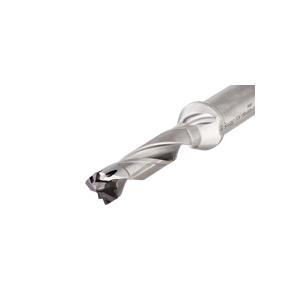 ISCA-3202638