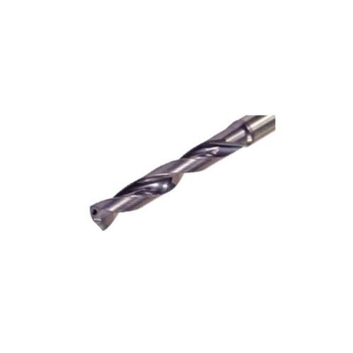 ISCA-5530513