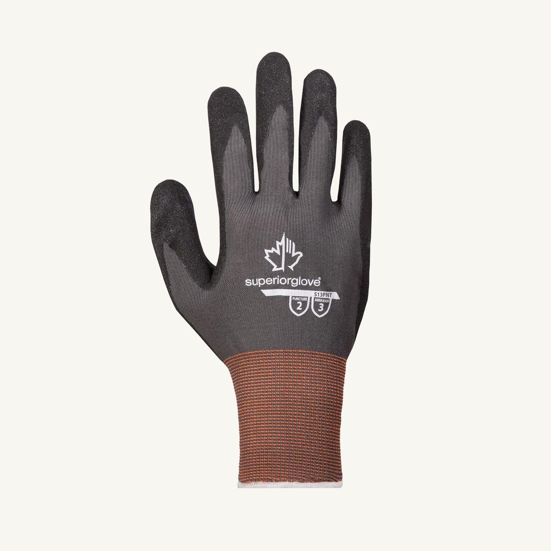 SUPS-13PNT10 product image 0