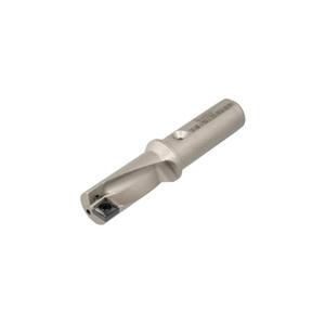 ISCA-3202028